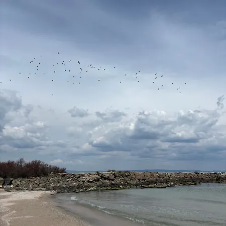 Desis Seaside Hideaway Daire Ahyolu