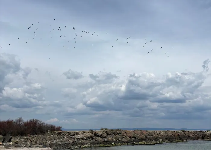 Desis Seaside Hideaway Appartamento Pomorie